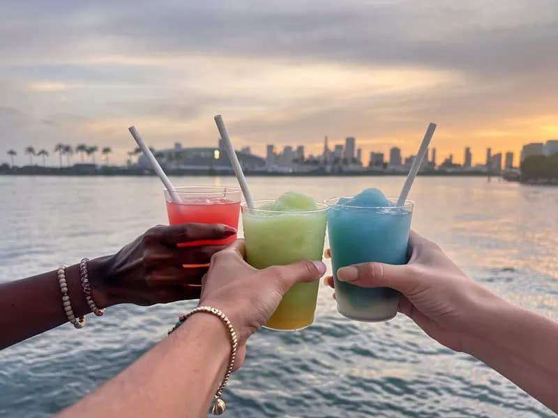 Guests toasting cocktails with the Miami skyline behind