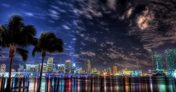 Miami skyline glowing at night framed by palms